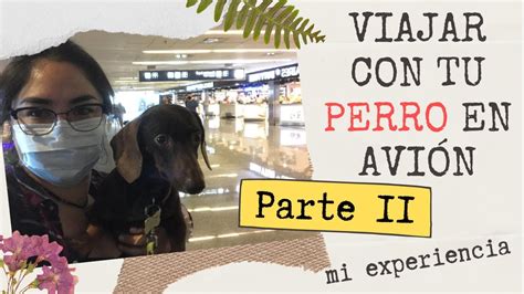 Buena experiencia en Alitalia .